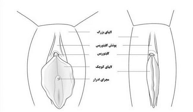 سخن آخر